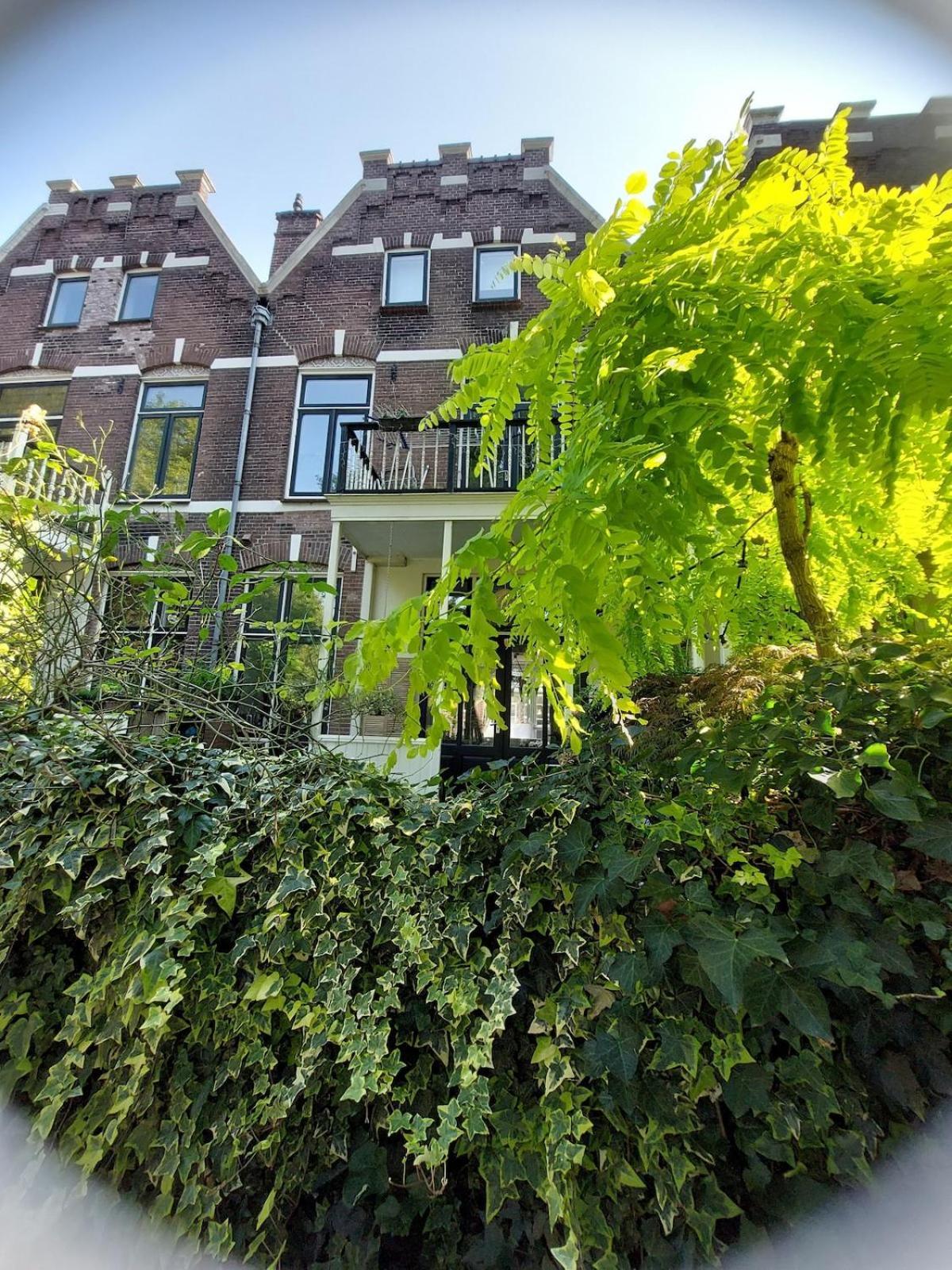 3rd Floor Loft In Historical Dordrecht