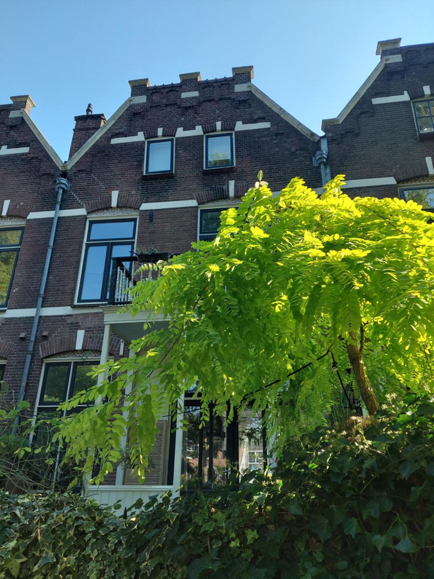 Appartement 3rd Floor Loft In Historical